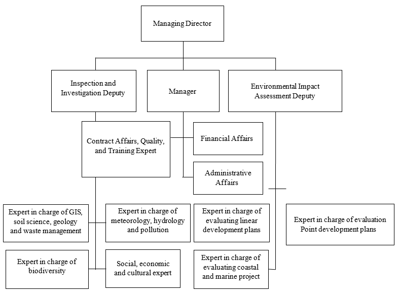 The organizational chart